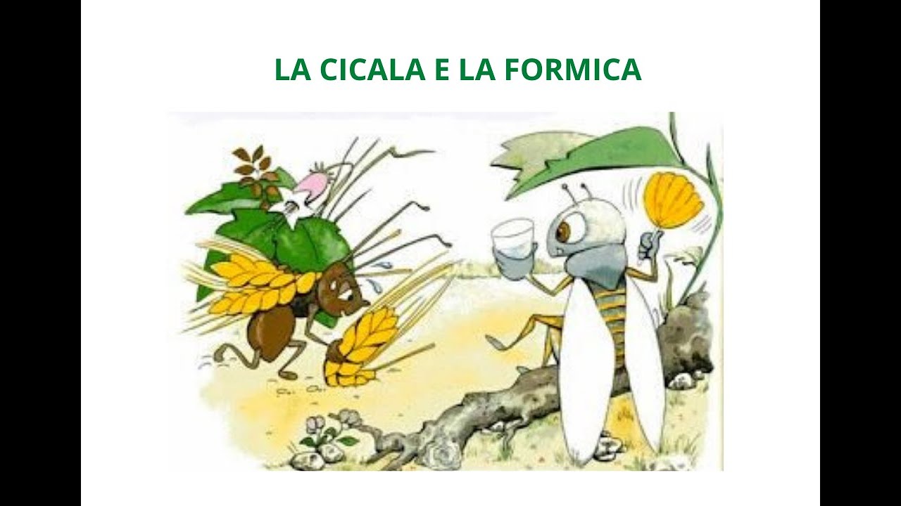 La cicala e la formica YouTube La cicala e la formica YouTube