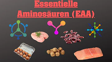 Wo sind die 8 essentiellen Aminosäuren enthalten?