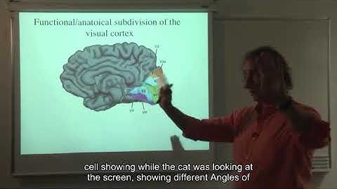 06 cable theory and dendritic computations 01 lesson 6 02 computation at the level of single neuron