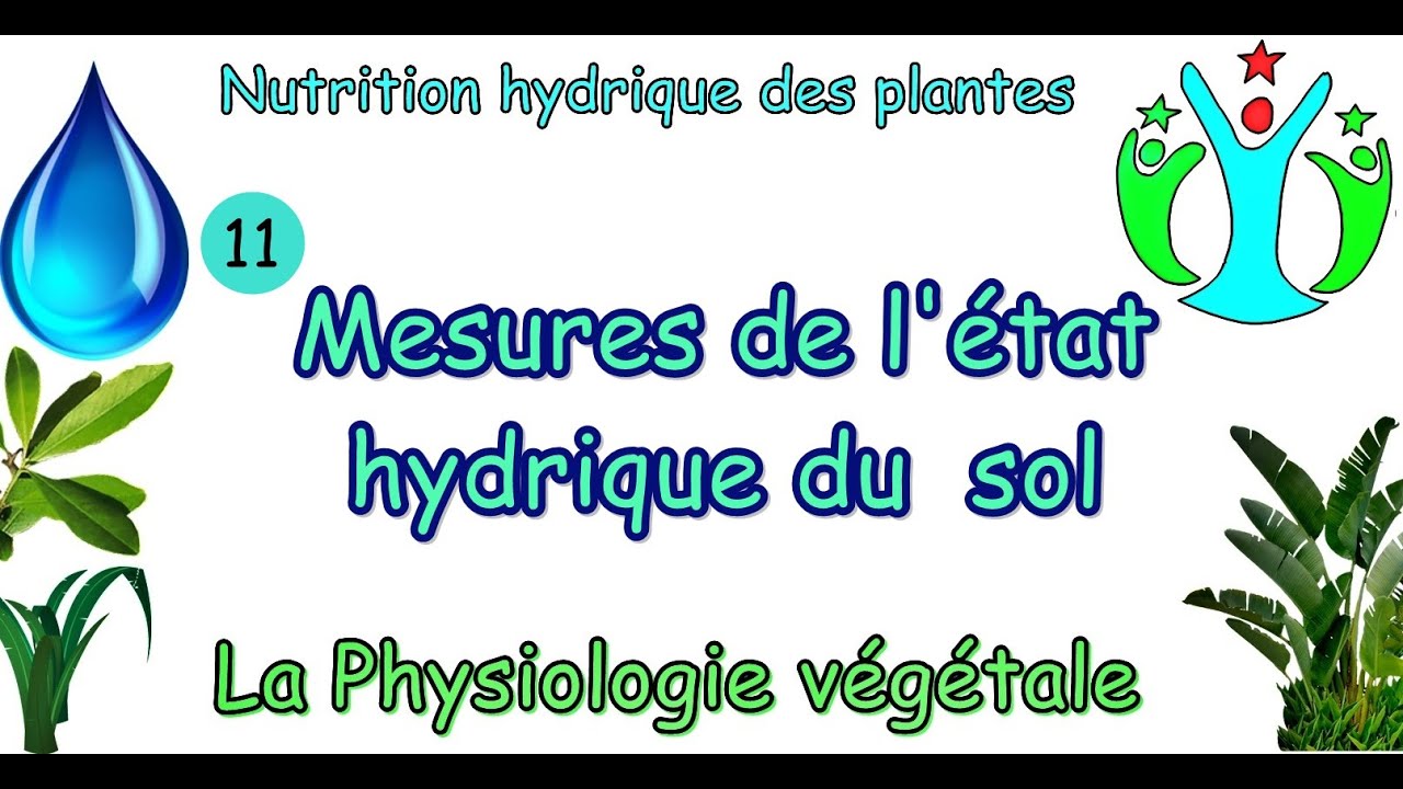 mesures de l'état hydrique du sol /physiologie végétale