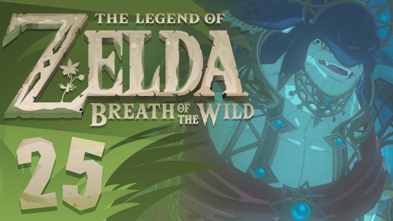 The Legend of Zelda: Breath of the Wild - Part 25 - King Dorephan! (Gameplay Walkthrough)