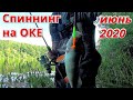 Рыбалка на ОКЕ на СПИННИНГ в ИЮНЕ 2020.