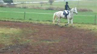 DSCF0709.AVI