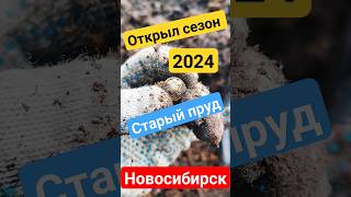 Старый пруд /// Открыл сезон 2024 #популярное #топ #тренды #подпишись #металлоискатель #металлокоп