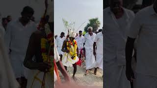 Kaliyanur Kovil festival⚡️#village #festival #2025 #celebration #nature #animals #happiness #dress