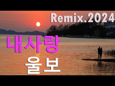 내사랑 울보 짚시 Remix 2024