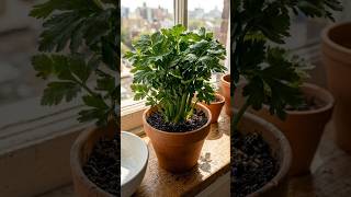 Stop Throwing Away Celery! 🥬 Do This Instead #Shorts