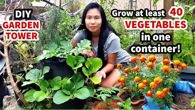 Easiest way to grow Top 8 Vegetables at Home/Garden