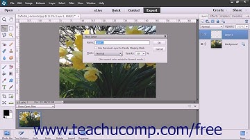 Photoshop Elements 13 Tutorial Creating New Layers Adobe Training