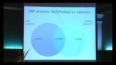 Gramene  A community resource for comparative rice and plant genomics