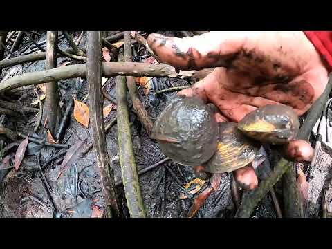 weight loss benefits