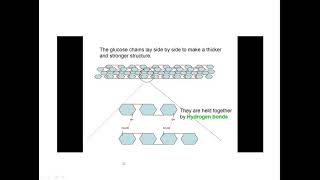 Paper packaging material explained by Dr Manish Kumar