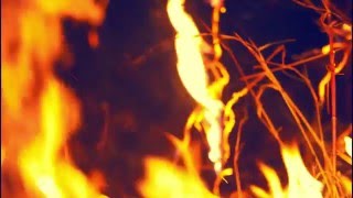 'Footsteps' Trailer