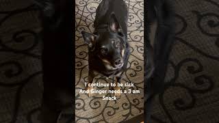 Ginger Showing Of Her Snacking Skills