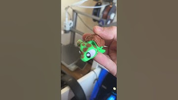 Let’s 3D Print a Turtle ! 🐢 #3dprinting #3dprinted #turtle