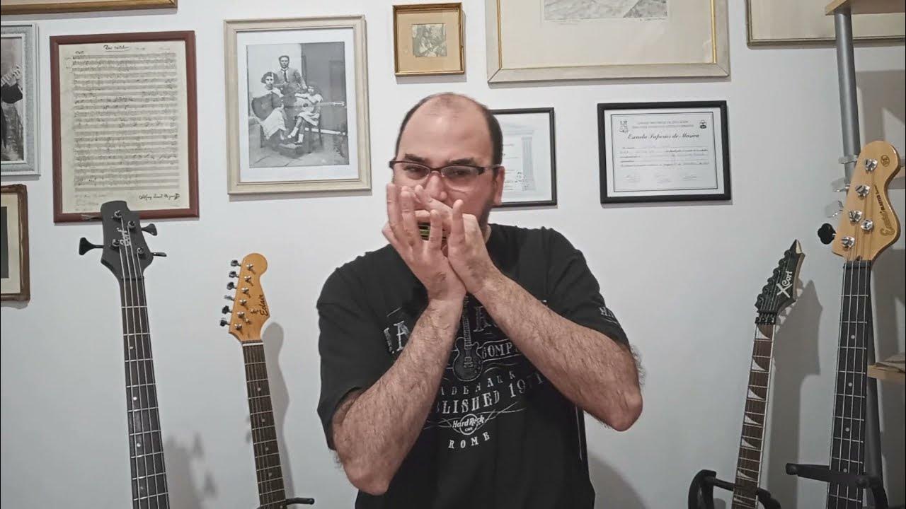 Muddy Waters Hoochie Coochie Man. Harmonica cover + tabs + backing