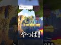 【衝撃映像】マイクラ誰もが感動する奇跡の村!!!!!! #shorts