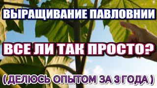 ВЫРАЩИВАНИЕ ПАВЛОВНИИ. ВСЕ ЛИ ТАК ПРОСТО? ( ДЕЛЮСЬ ОПЫТОМ ЗА 3 ГОДА )