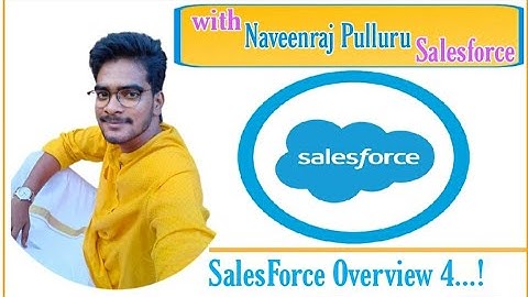 Salesforce Overview 4 in Telugu | Naveenraj Pulluru