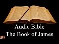 The Book of James - NIV Audio Holy Bible - High Quality and Best Speed - Book 59