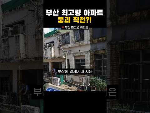 일제시대 지은 80살 부산 아파트가 아직도 사람 산다고?! 태풍 오면 '대피 아비규환'" #shorts