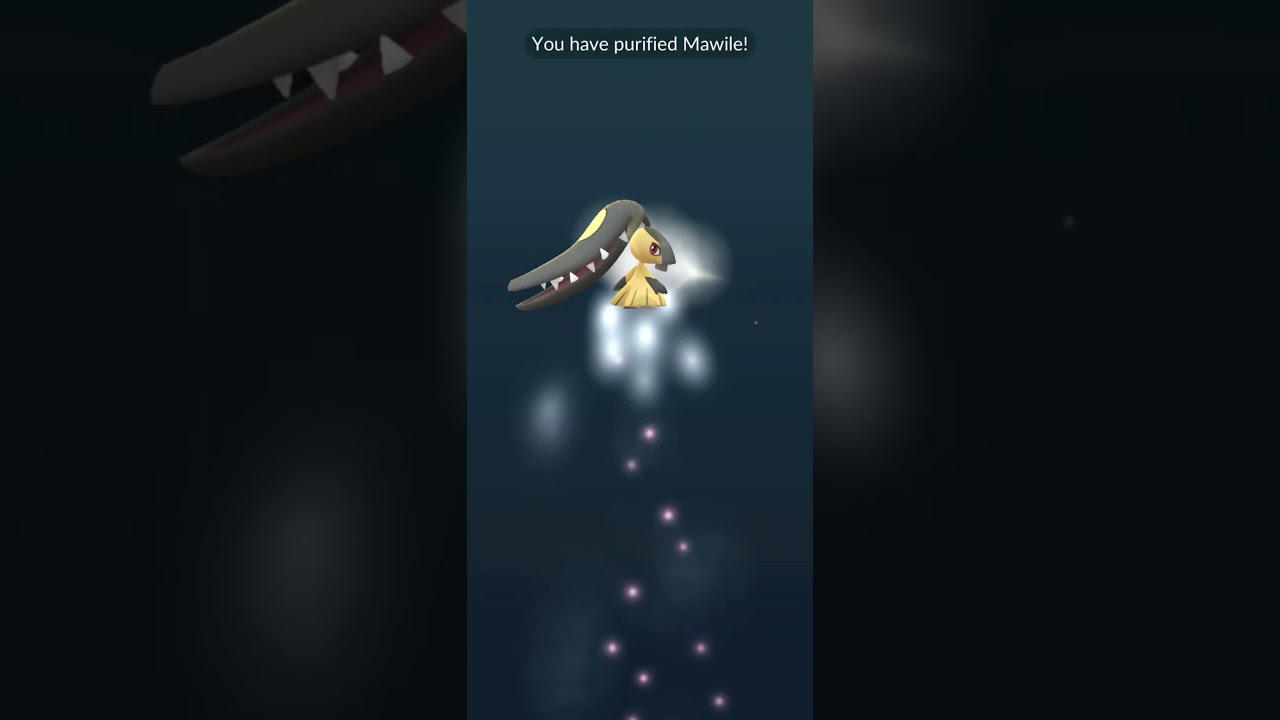 The perfect * SHADOW * Mawile for purification to hundo 😆 😆 😆 | Pokemon GO