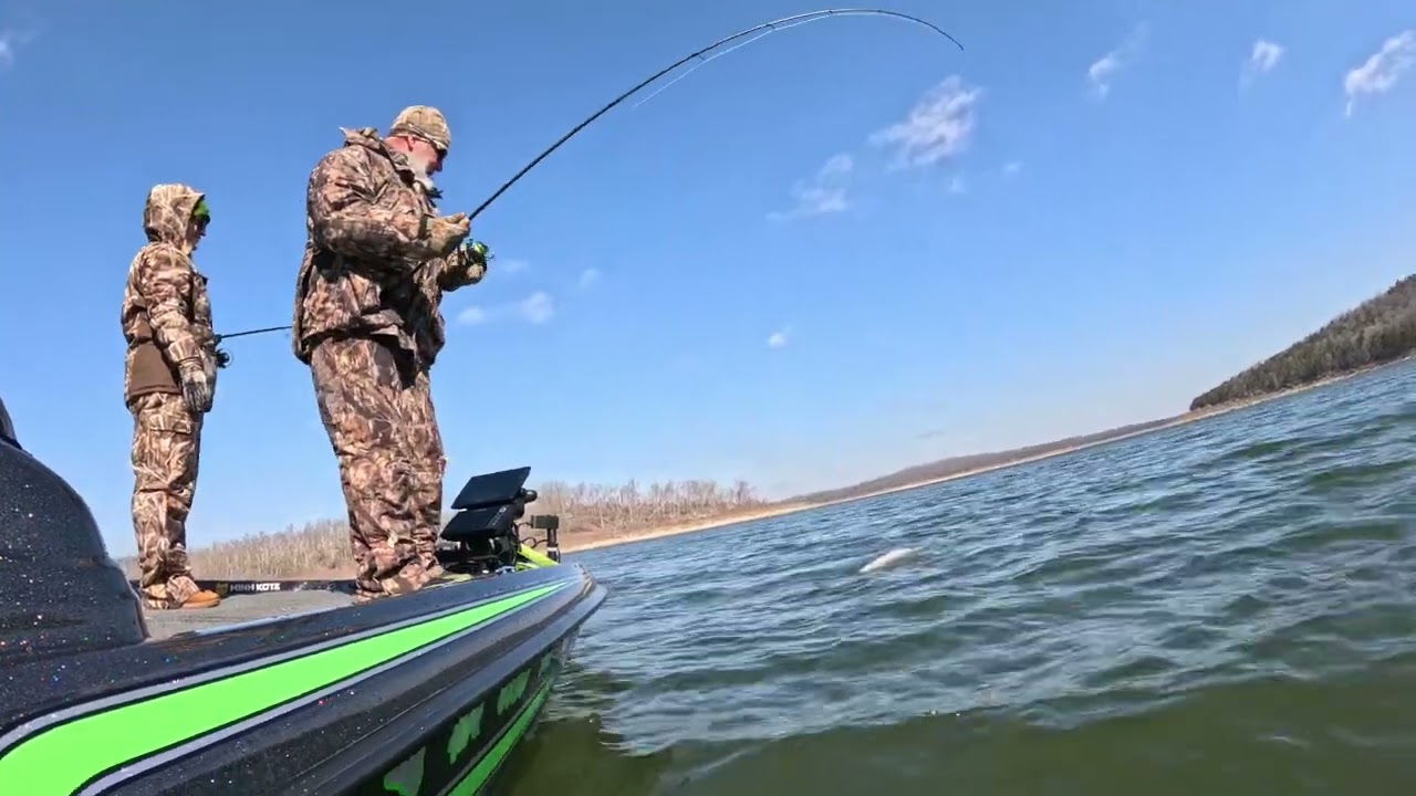 Lake Norfork Arkansas Striper Fishing with The Thumper from Thump’em up fishing 💥🎣