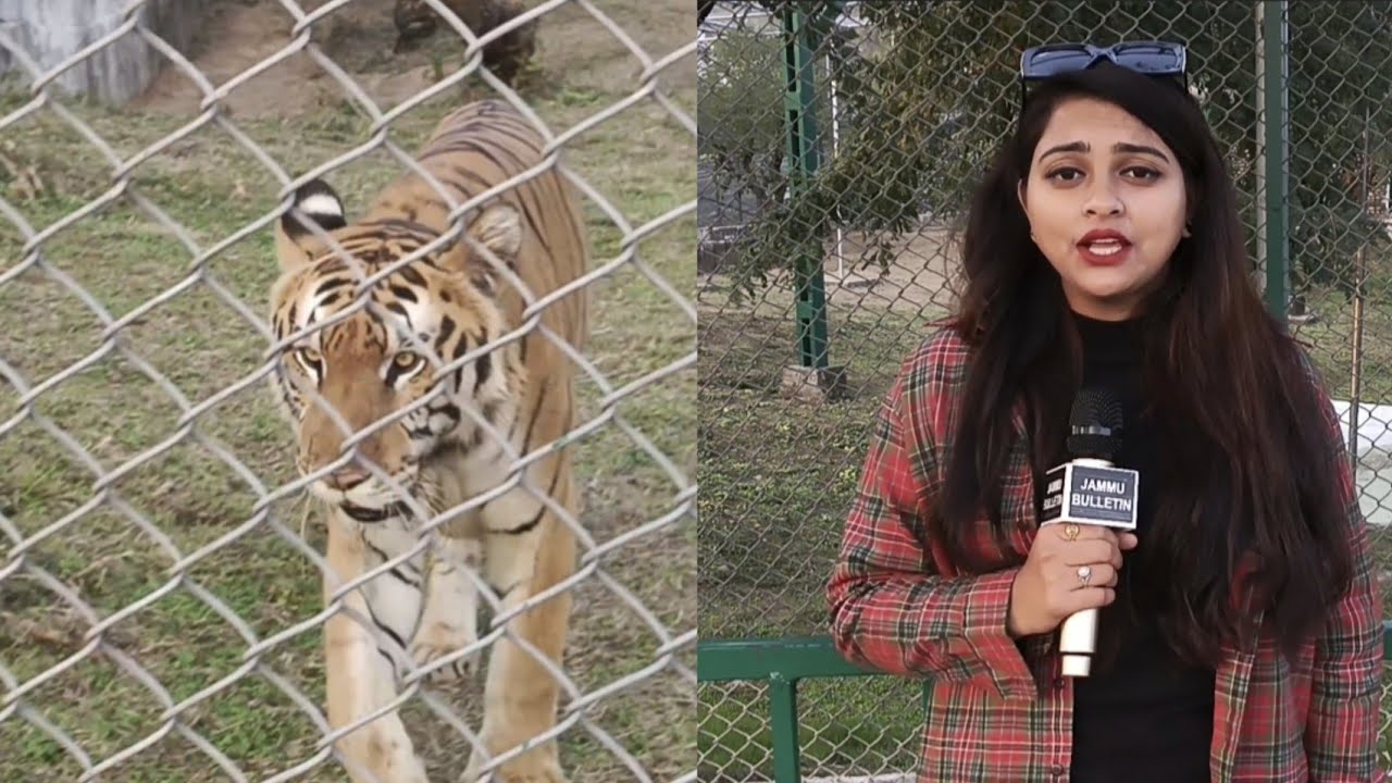 Jambu Zoo Mein Pahuncha Aditya Aur Sunita Ka Joda
