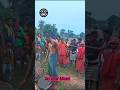 Adiwasi Gondi Devi Mata Bade Bodenar Domapara Mela | #shorts #viral  #youtubeshorts