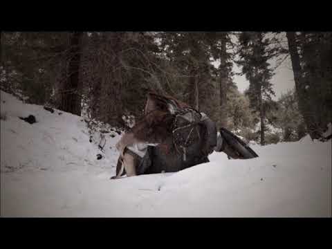Gravespawn - Barbarian Misanthropy [Official Video]