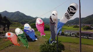 鯉のぼり2022年5月5日