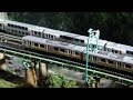 E129系と何かがすれ違う