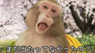 「もちくんリュック、まだ当たってなかったの？」チロルチョコPR映像