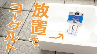 外に牛乳放置してヨーグルト作ってみた！