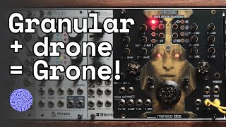 Celebrity Maneco Labs Grone: a monster drone synth with built-in Clouds! Net Worth