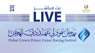 بث مباشر - مهرجان سمو ولي عهد دبي - ثنايا للقبائل 13-1-2024 صباحاً - 16 شوطا - 8 كلم