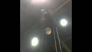 Mark Chisholm   GIE 2011 STIHL