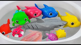 [Toy asmr]  Robo Alive Shark RC & Baby Shark & Nimo Fish & Aquarium ASMR Satisfying with Unboxing screenshot 5
