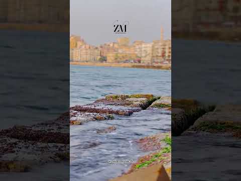 وأسألها سؤال احلامنا زمان فين راح Fypシ Viral Fypage تصميمي Youtubeshorts تامر عاشور اغاني