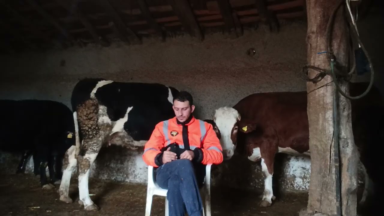 UZMAN ÇAVUSLUKTAN HAYVANCILIĞA GEÇİŞ HİKAYEM /TÜM SORULARINIZIN CEVABİ BU VİDEODA/MUTLUMUYUM ?