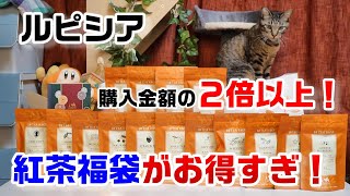 【ルピシア福袋2023】5400円！フレーバードティー、紅茶福袋（竹⑧）を購入☆購入金額の２倍以上の紅茶が入って超お得【猫と一緒に福袋開封】