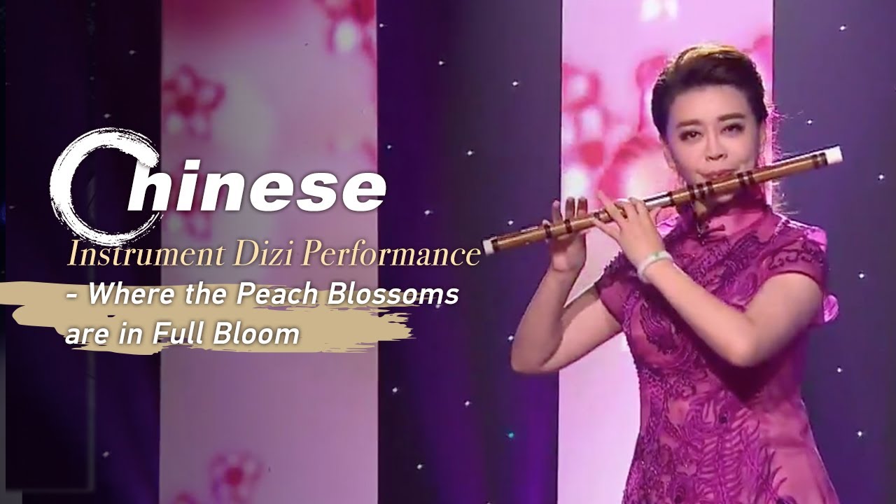 MOOLIGIRL Chinese Bamboo Flute Two-Section Dizi Without Membrane Hole  Transverse Wind Music Instrument For Folk Music Chromatically Tuned 並行輸入 