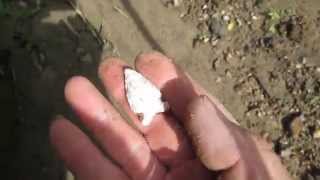 61314 Hunt With Hardcoreflint