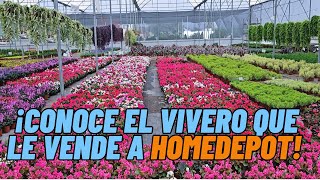 Conoce el Vivero que le Vende las Plantas y Flores a HOMEDEPOT: FLORAMUNDO 🌻🪴