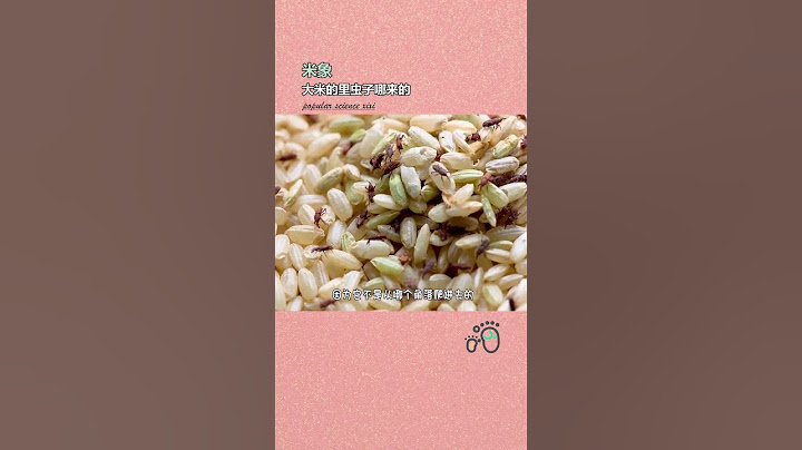 大米里的米象.哪来的  #爆款选题创作计划 #健康 #生活