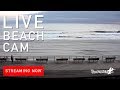 Live Surf Cam: Beach Haven, New Jersey - YouTube