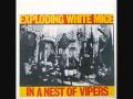 Exploding White Mice - In A Nest Of Vipers - Side 2