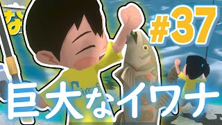 探し求めていた50cm超えのイワナを釣る！『なつもん！ 20世紀の夏休み』を実況プレイ 37