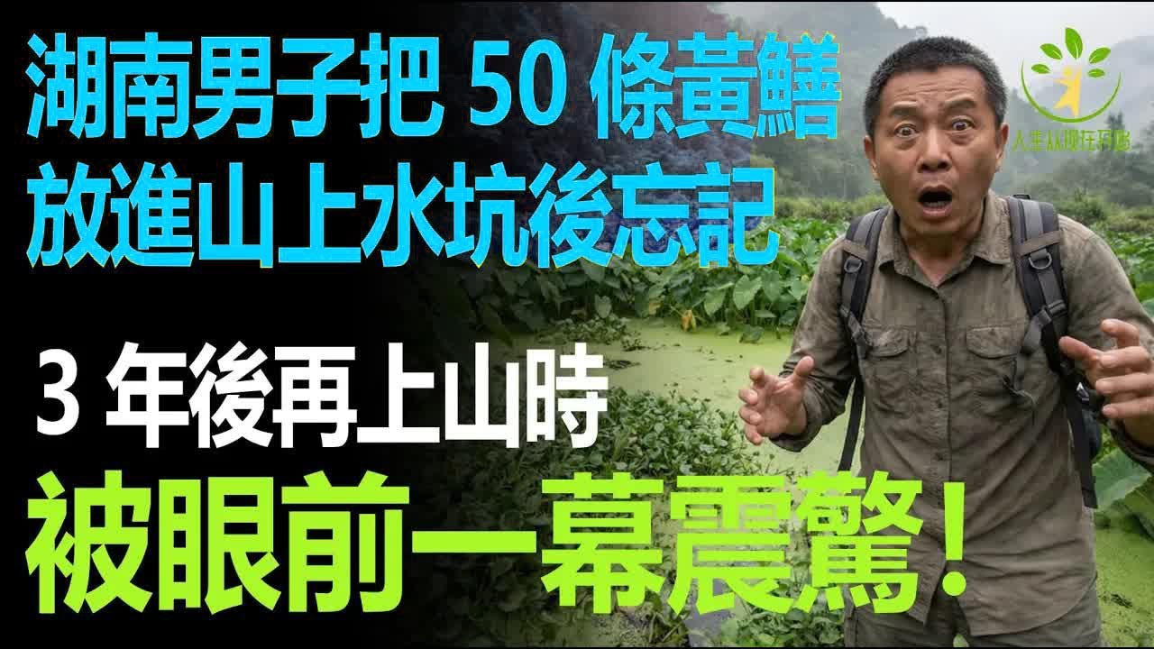 湖南男子把50條黃鱔放進山上水坑後忘記，3年後再上山時，被眼前一幕震驚！