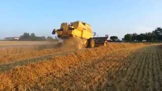 TF76 New Holland Blés 2013